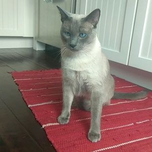 Meet your Posher, Oliver